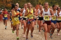 2010CIF XC GD1-1096